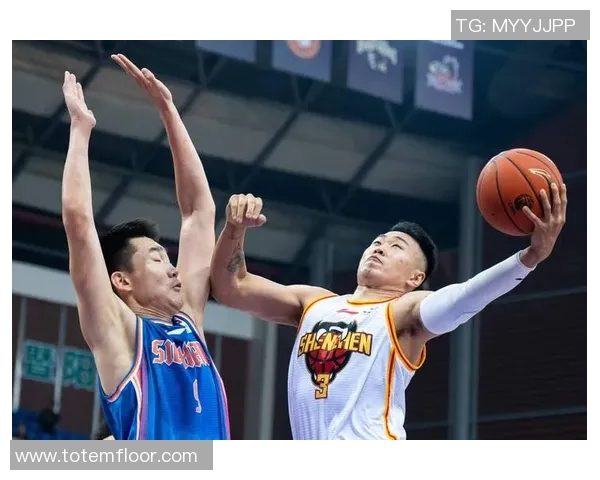 深圳篮球队联赛表现分析：团队配合与战术执行的深度探讨