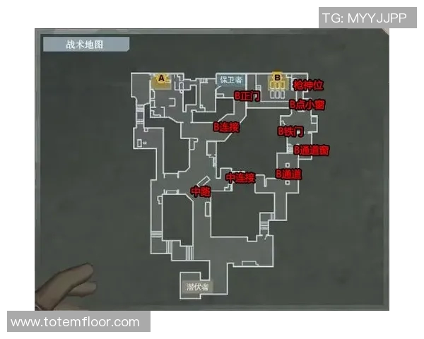 深入分析WE战队的防守策略与战术执行细节